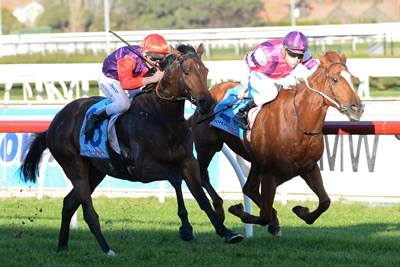GAME WIN FOR ONPICALO AT CAULFIELD..